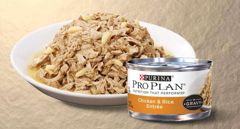 purina-cat-food-review
